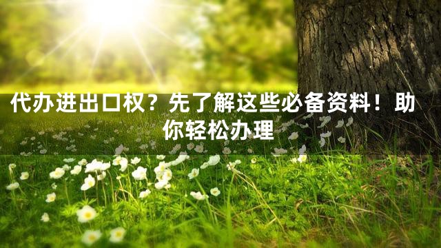 代办进出口权？先了解这些必备资料！助你轻松办理