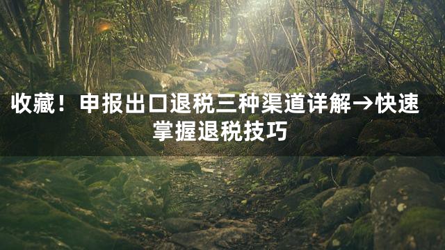 收藏！申报出口退税三种渠道详解→快速掌握退税技巧