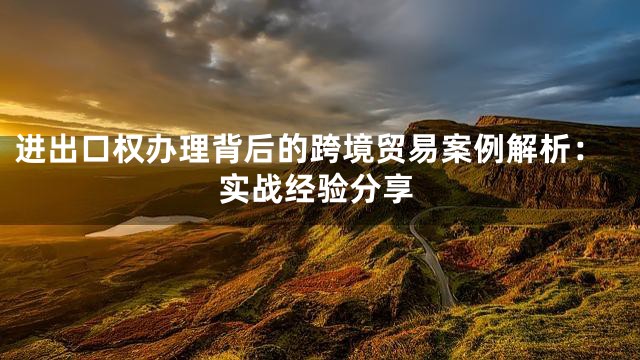进出口权办理背后的跨境贸易案例解析：实战经验分享