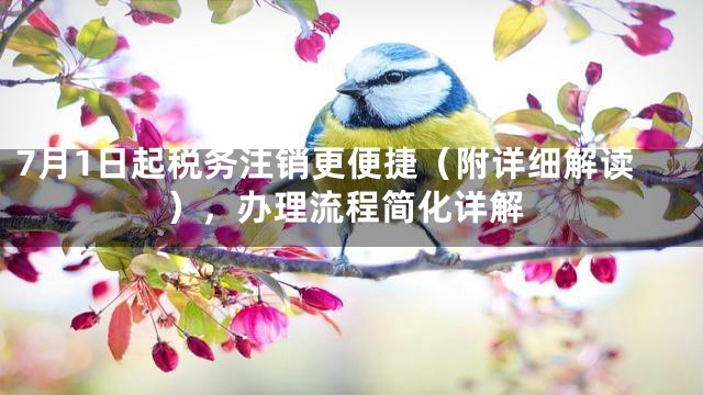 7月1日起税务注销更便捷（附详细解读），办理流程简化详解