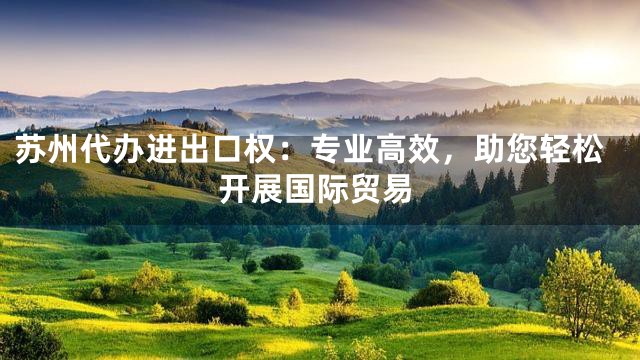 苏州代办进出口权：专业高效，助您轻松开展国际贸易