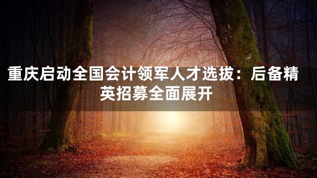 重庆启动全国会计领军人才选拔：后备精英招募全面展开