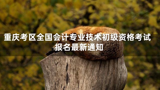 重庆考区全国会计专业技术初级资格考试报名最新通知