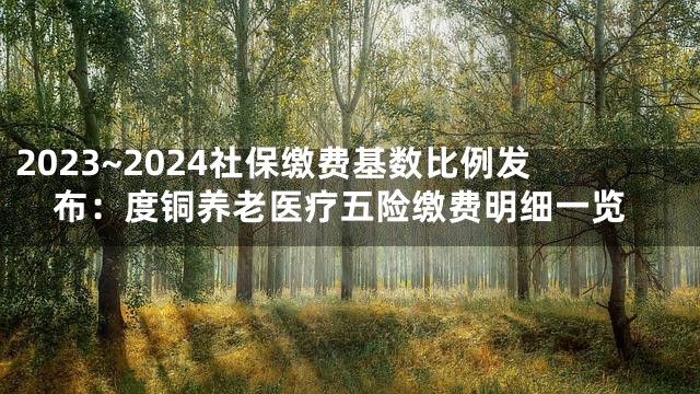 2023~2024社保缴费基数比例发布：度铜养老医疗五险缴费明细一览