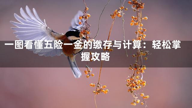 一图看懂五险一金的缴存与计算：轻松掌握攻略