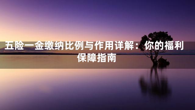 五险一金缴纳比例与作用详解：你的福利保障指南