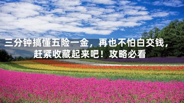 三分钟搞懂五险一金，再也不怕白交钱，赶紧收藏起来吧！攻略必看