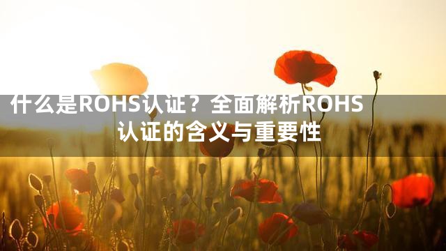 什么是ROHS认证？全面解析ROHS认证的含义与重要性