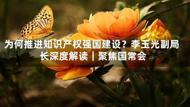 为何推进知识产权强国建设？李玉光副局长深度解读｜聚焦国常会