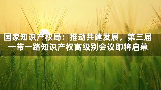国家知识产权局：推动共建发展，第三届一带一路知识产权高级别会议即将启幕