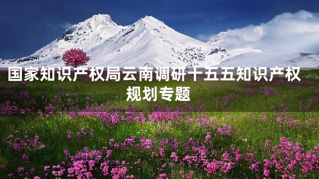 国家知识产权局云南调研十五五知识产权规划专题