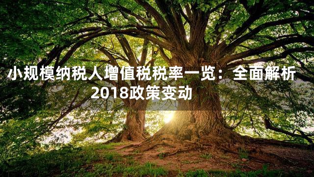 小规模纳税人增值税税率一览：全面解析2018政策变动