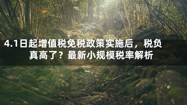 4.1日起增值税免税政策实施后，税负真高了？最新小规模税率解析