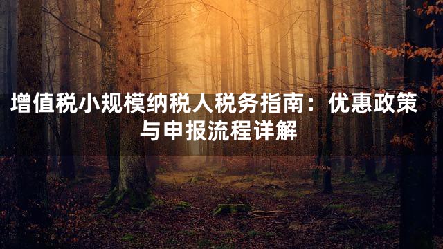 增值税小规模纳税人税务指南：优惠政策与申报流程详解