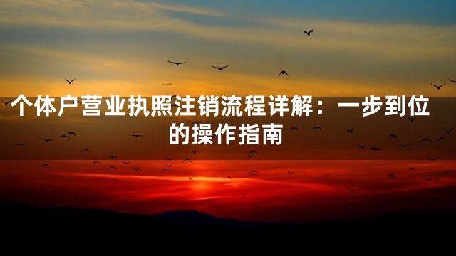 个体户营业执照注销流程详解：一步到位的操作指南