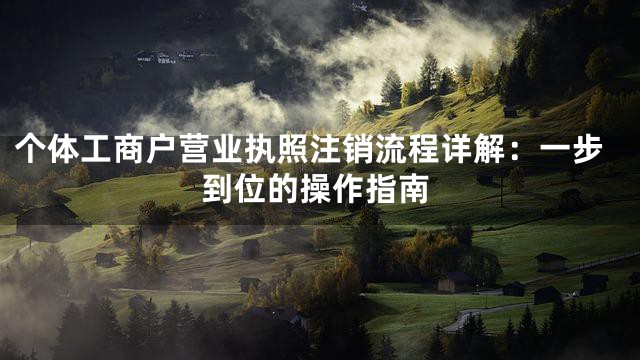 个体工商户营业执照注销流程详解：一步到位的操作指南