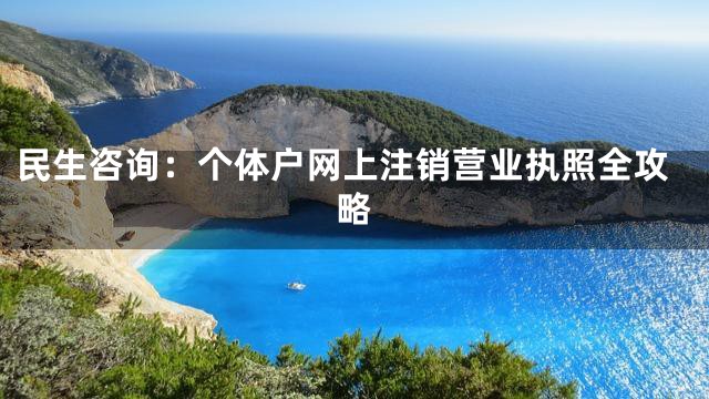 民生咨询：个体户网上注销营业执照全攻略