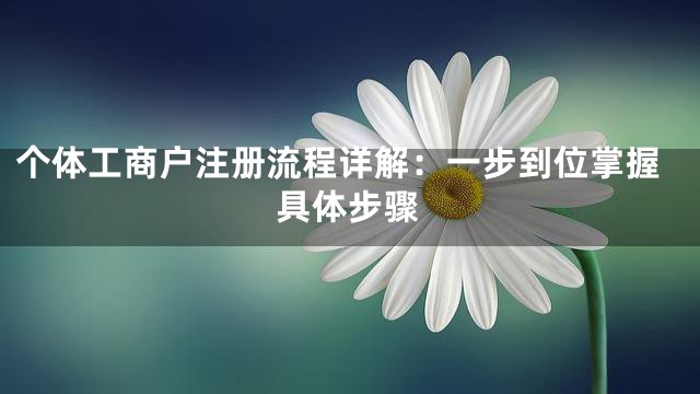 个体工商户注册流程详解：一步到位掌握具体步骤