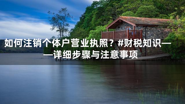如何注销个体户营业执照？#财税知识——详细步骤与注意事项