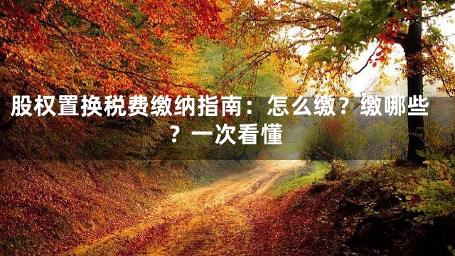 股权置换税费缴纳指南：怎么缴？缴哪些？一次看懂
