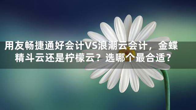 用友畅捷通好会计VS浪潮云会计，金蝶精斗云还是柠檬云？选哪个最合适？