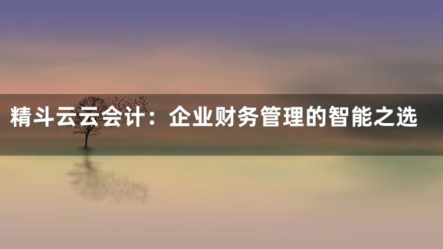 精斗云云会计：企业财务管理的智能之选
