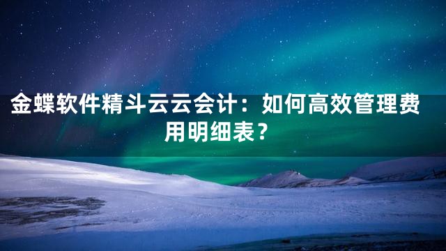 金蝶软件精斗云云会计：如何高效管理费用明细表？