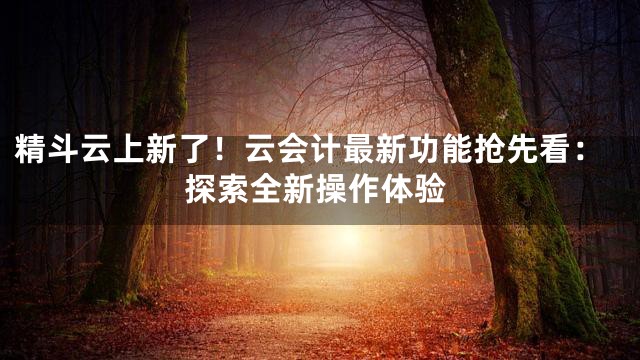 精斗云上新了！云会计最新功能抢先看：探索全新操作体验