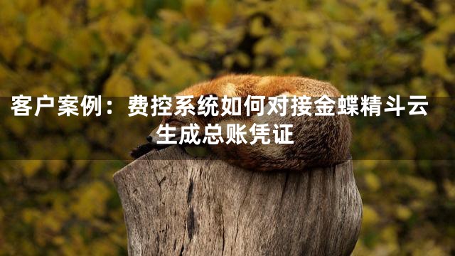 客户案例：费控系统如何对接金蝶精斗云生成总账凭证
