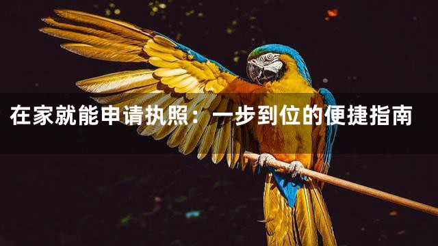 在家就能申请执照：一步到位的便捷指南