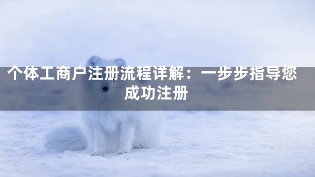 个体工商户注册流程详解：一步步指导您成功注册