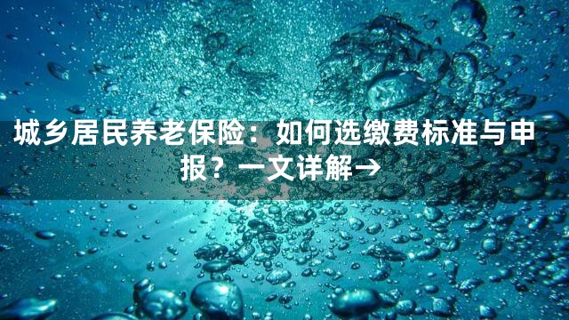 城乡居民养老保险：如何选缴费标准与申报？一文详解→
