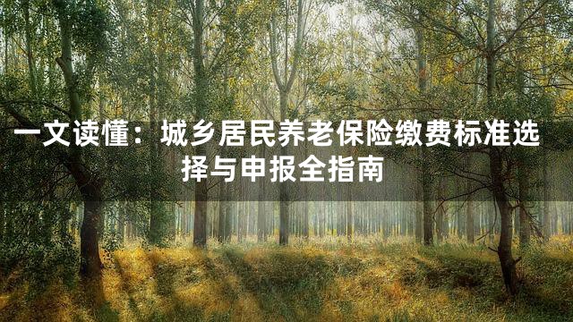一文读懂：城乡居民养老保险缴费标准选择与申报全指南