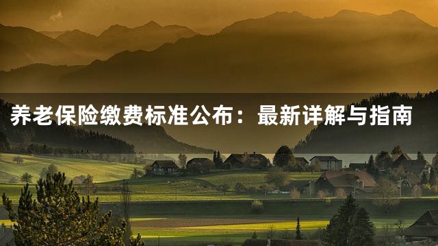 养老保险缴费标准公布：最新详解与指南