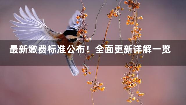 最新缴费标准公布！全面更新详解一览