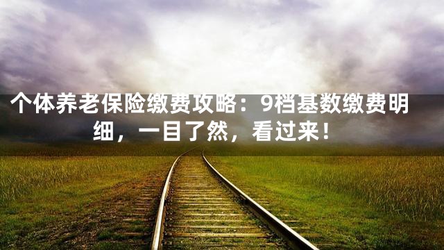 个体养老保险缴费攻略：9档基数缴费明细，一目了然，看过来！
