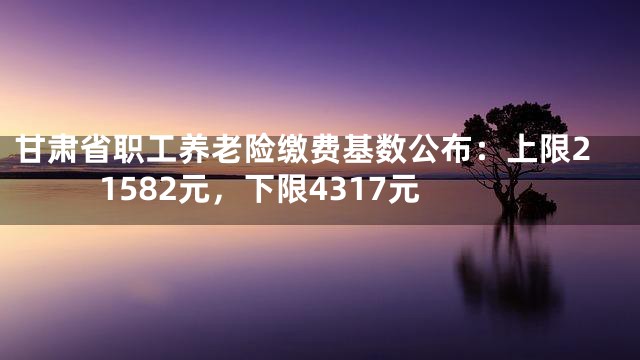 甘肃省职工养老险缴费基数公布：上限21582元，下限4317元