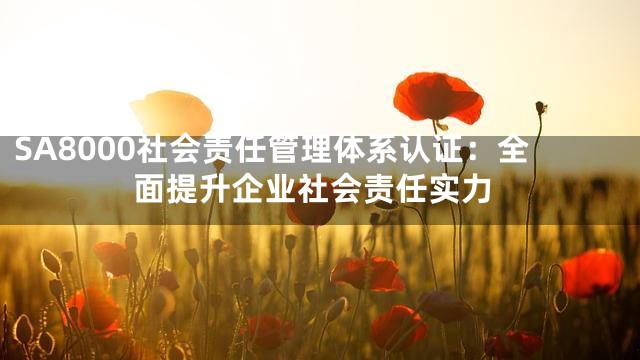 SA8000社会责任管理体系认证：全面提升企业社会责任实力