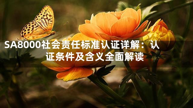 SA8000社会责任标准认证详解：认证条件及含义全面解读
