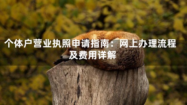 个体户营业执照申请指南：网上办理流程及费用详解