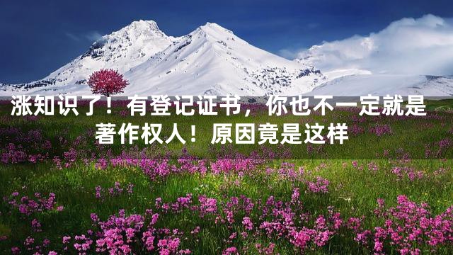 涨知识了！有登记证书，你也不一定就是著作权人！原因竟是这样