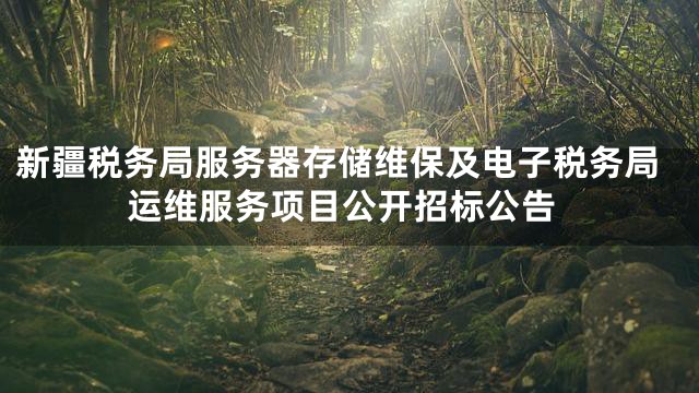 新疆税务局服务器存储维保及电子税务局运维服务项目公开招标公告
