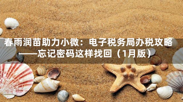春雨润苗助力小微：电子税务局办税攻略——忘记密码这样找回（1月版）