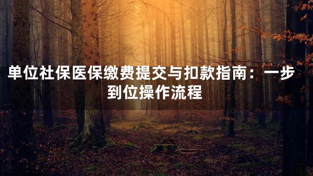 单位社保医保缴费提交与扣款指南：一步到位操作流程