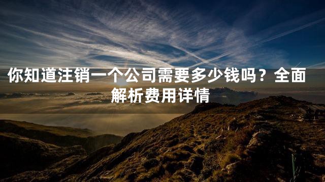 你知道注销一个公司需要多少钱吗？全面解析费用详情
