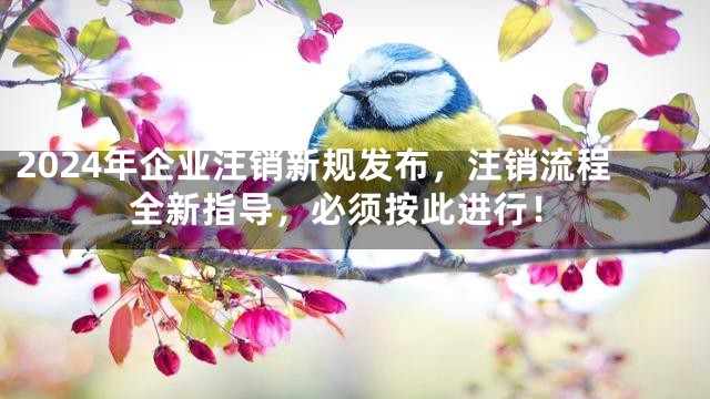 2024年企业注销新规发布，注销流程全新指导，必须按此进行！