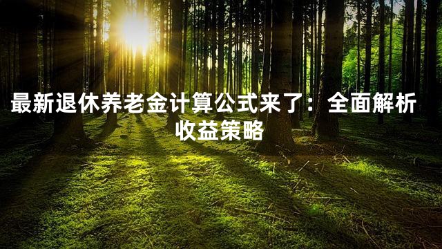 最新退休养老金计算公式来了：全面解析收益策略