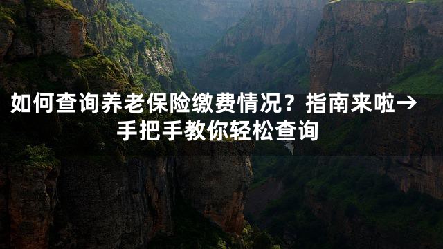 如何查询养老保险缴费情况？指南来啦→手把手教你轻松查询