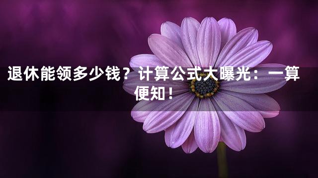 退休能领多少钱？计算公式大曝光：一算便知！