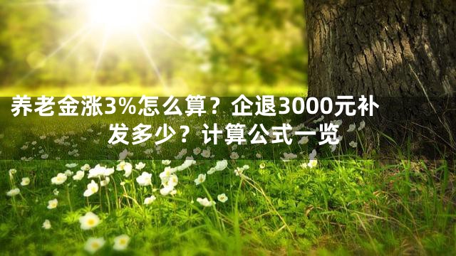 养老金涨3%怎么算？企退3000元补发多少？计算公式一览
